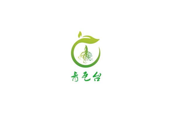 贵州青瓦台商务信息咨询中心